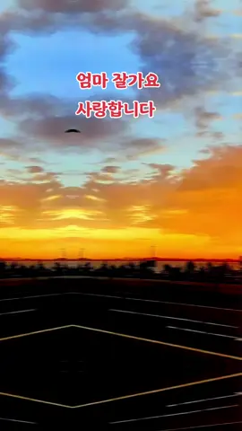 #잘가요 #앵두걸스 #박앵두 #엄마 COFFEE #커피 노을 하늘 저녁 이별 