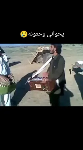#janikhelzalmii💪🤟 #faryou #تاجیک_هزاره_ازبک_پشتون_ترکمن🇦🇫 