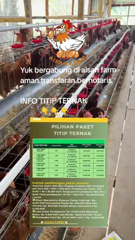 #aisahfarm #titipternak #ayampetelur #fyp #tiktok 