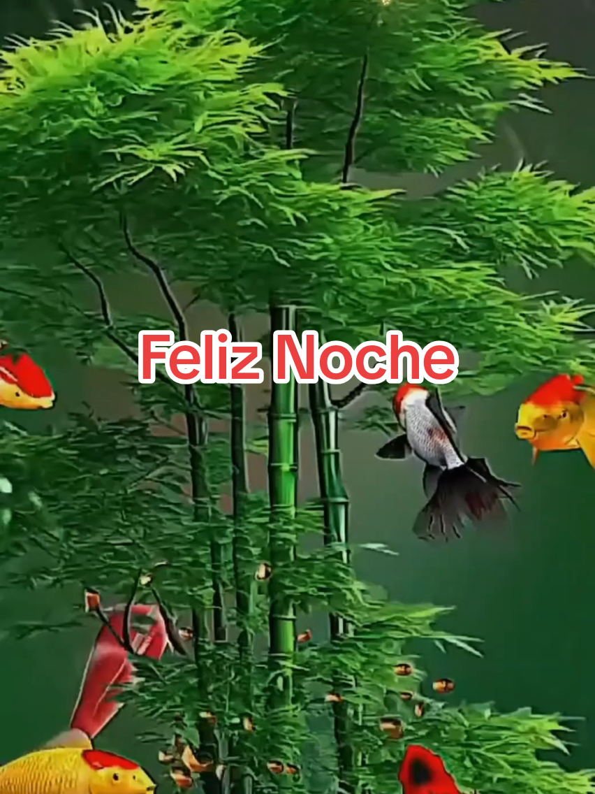#CapCut #buenasnoches #bendecidanoche 