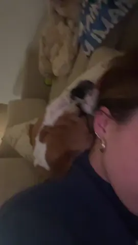 He’s like a weighted stuffed animal on my back 