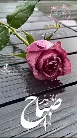 #في هذا اليوم 