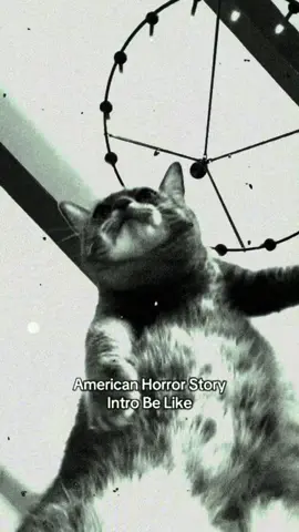 AHS Cat Hotel House Coven #catsoftiktok #cattok 