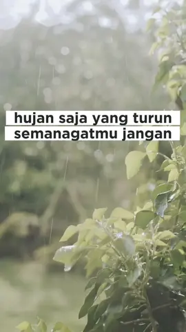 iyo gak plon #CapCut #masukberanda #fyp #hujan 