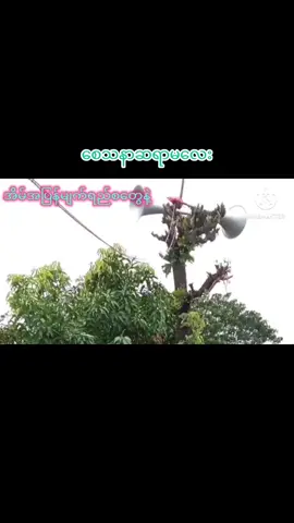 အိမ်အပြန်မျက်ရည်စတွေနဲ့ #အသံကြီးကြိုက်သူများအတွက် 