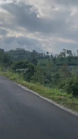 🍃