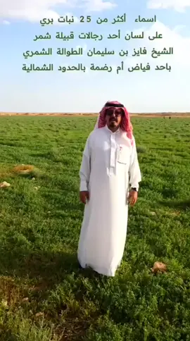 نبت فياض ام رضمه#الطواله_الأسلمي #الشيخ_فايز_بن_سليمان_بن_طواله #ام_رضمه #ربيع_الحدود_الشمالية #نباتات 