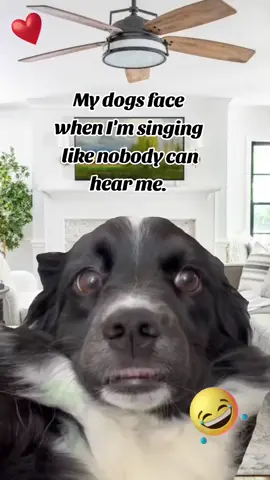 #CapCut #♥️ #😂🤣 #Love #justforfun @Tim Wanta 