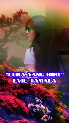 #assalamualaikum#lukayangmembiru  #lukayangbiru #evietamala 