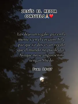 Confia en Dios solo el puede darnos esa paz que nuestro corazón necesita solo en el hay descanso para nuestra alma 🙏🏼❤️#📖 #frasesmotivadoras #biblia #fyp 