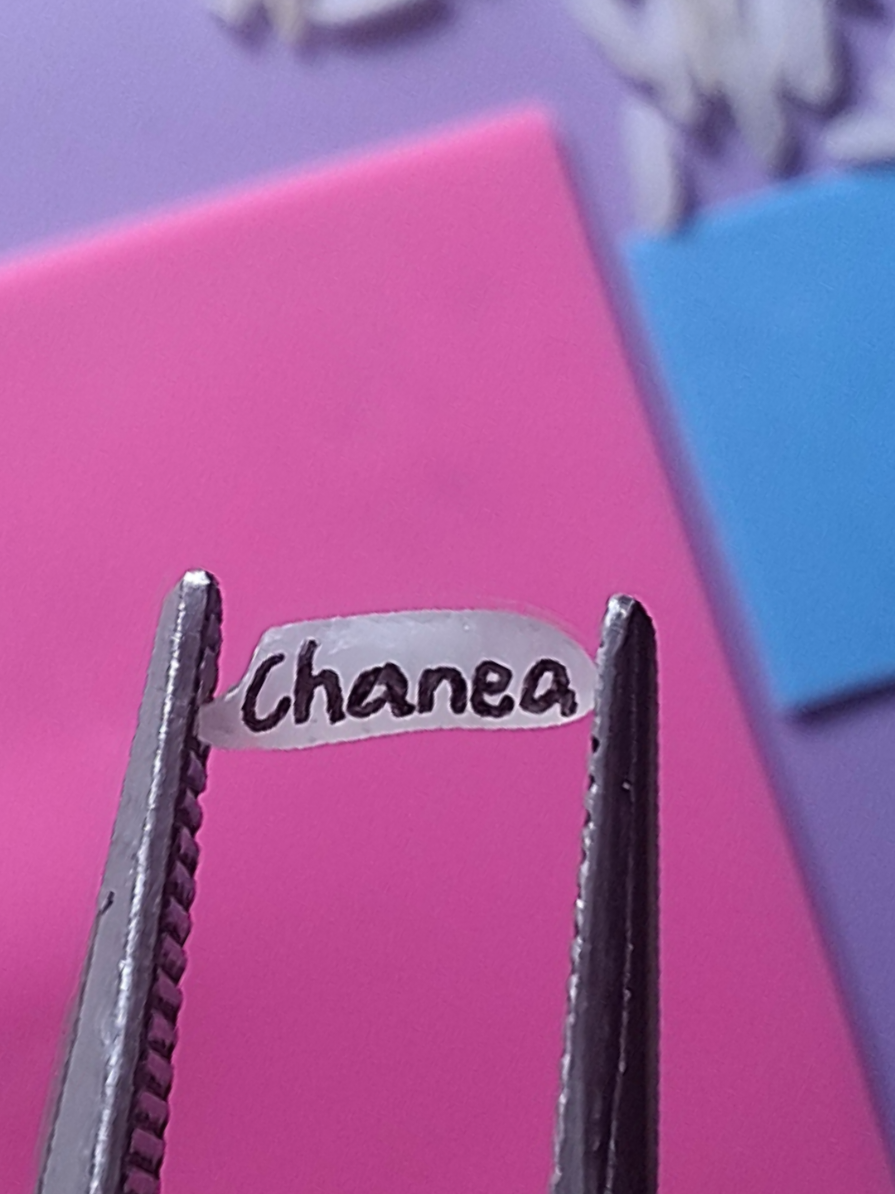 Replying to @beachan210_o  Chanea ❤️ #chanea #writingonrice #nameonrice #nameart✍🏻❤️🥰 
