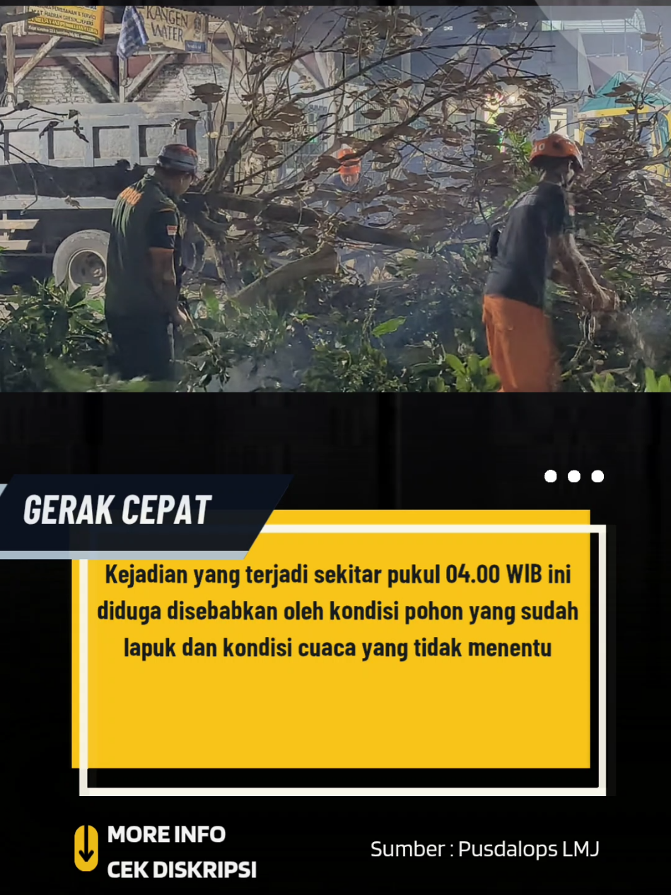 LUMAJANG – Sebuah pohon mangga berdiameter sekitar 40 cm dilaporkan tumbang dan sempat menutup akses jalan di Jalan Kapten Wiratno, Kelurahan Ditotrunan, Kecamatan Lumajang, Kabupaten Lumajang, pada Selasa, 9 September 2025 dini hari. Kejadian yang terjadi sekitar pukul 04.00 WIB ini diduga disebabkan oleh kondisi pohon yang sudah lapuk. Berkat laporan cepat dari salah satu personel TRC PB BPBD Kabupaten Lumajang yang kebetulan melintas, tim langsung bergerak cepat. Laporan diterima oleh Pusdalops PB BPBD pada pukul 04.13 WIB. Tak butuh waktu lama, tim langsung menuju lokasi. 