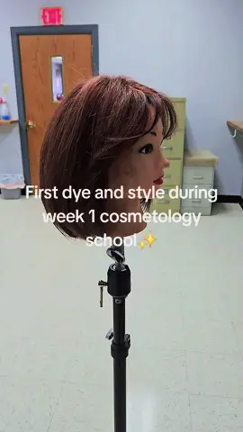 I thought the audio was appropriate for the first video on my cosmetology tiktok🥳 #hair #mannequin #hairdye #hairstyle #cosmetologyschool 