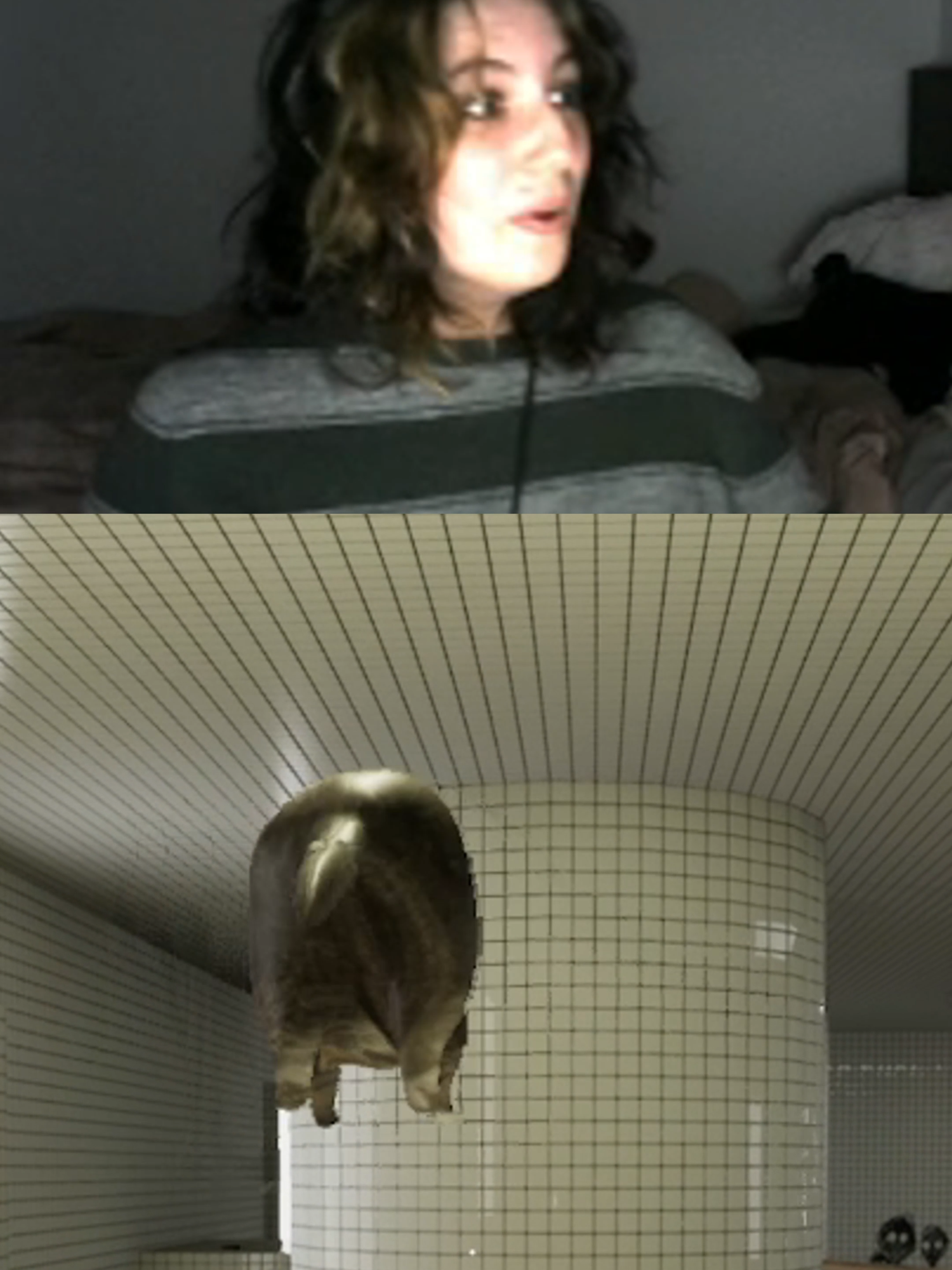 the dev joined our game and put us into shock 😭😭 #climbthebackrooms #lovdev #twitch #gaming #horror #horrorgame #scary #scarygame #cat
