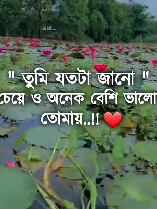 তোমাকে অনেক মিস করি জান#foryou #tiktok #foryoupage #trending @TikTok Bangladesh 