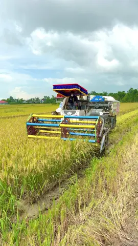 sống lại rồi ae ơi mấy zin ngày chạy 2,3x được rồi #kubota #kubota105xบ้าพลัง #xuhuongtiktok #kubota105x 