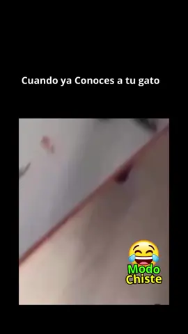 #videos #🤣🤣🤣 #🤭🤭🤣🤣 #viraltiktok #paratiiiiiiiiiiiiiiiiiiiiiiiiiiiiiii 