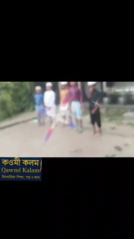 মোরগ লড়াই প্রতিযোগিতা ❤️❤️❤️❤️