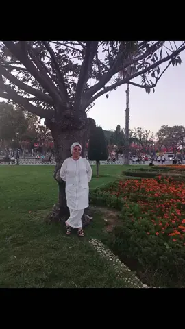 #🕊️🕊️🕊️ #🕊️🕊️🕊️ #