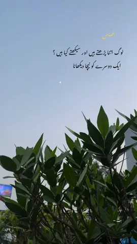 ہم تکلیف بھول جاتے ہیں لیکن ہماری آنکھیں کبھی وہ منظر نہیں بھولتیں#fyp #fypp #foryoupage #motivation #poetry 