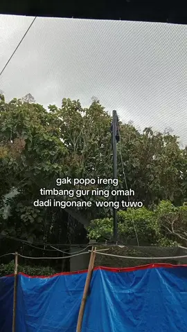 ora masalah ireng 😁#kuliproyek👷🏼 #lewatberanda #kulibangunanmaintiktok #fyp #fypage 