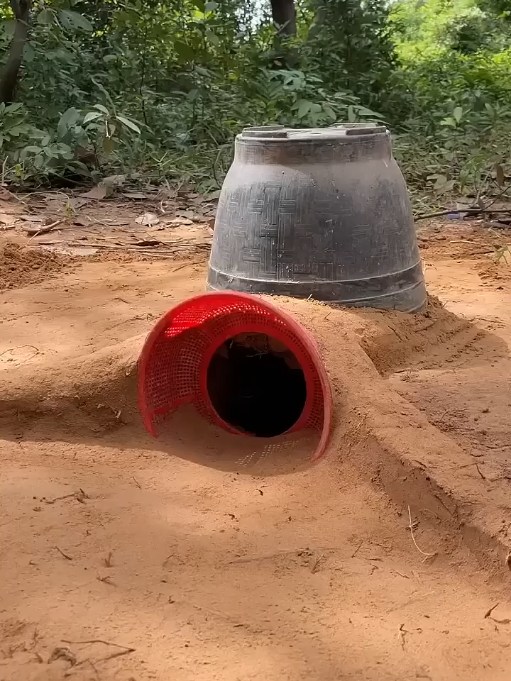 Giant Python Explores Mystery Tunnel in SHOCKING Footage! #traditionalhunting #snake #animaltraps - Walking in the forest