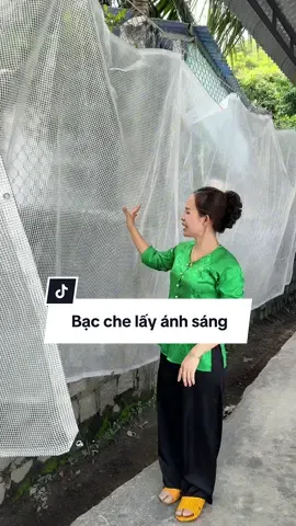 Bạc che lấy ánh sáng #cosauthattha #giadung #bacche #bacchemua 