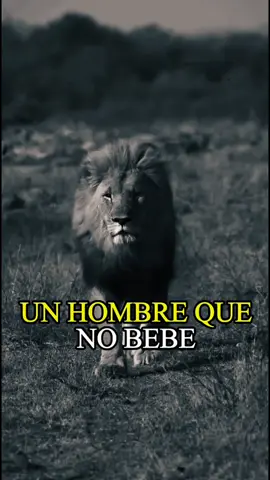 NO FUMA,NO SE DROGA Y NO HA MARCADO SU PIEL CON TINTA. #creatorsearchinsights 