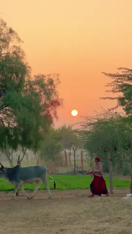 desi gaon Village ka khana #villagelife #villagefood #villagers #villager  #creatorsearchinsights 