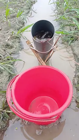 Traditional pipe fishing #viral #fishing #Shorts #fishing #bigfish