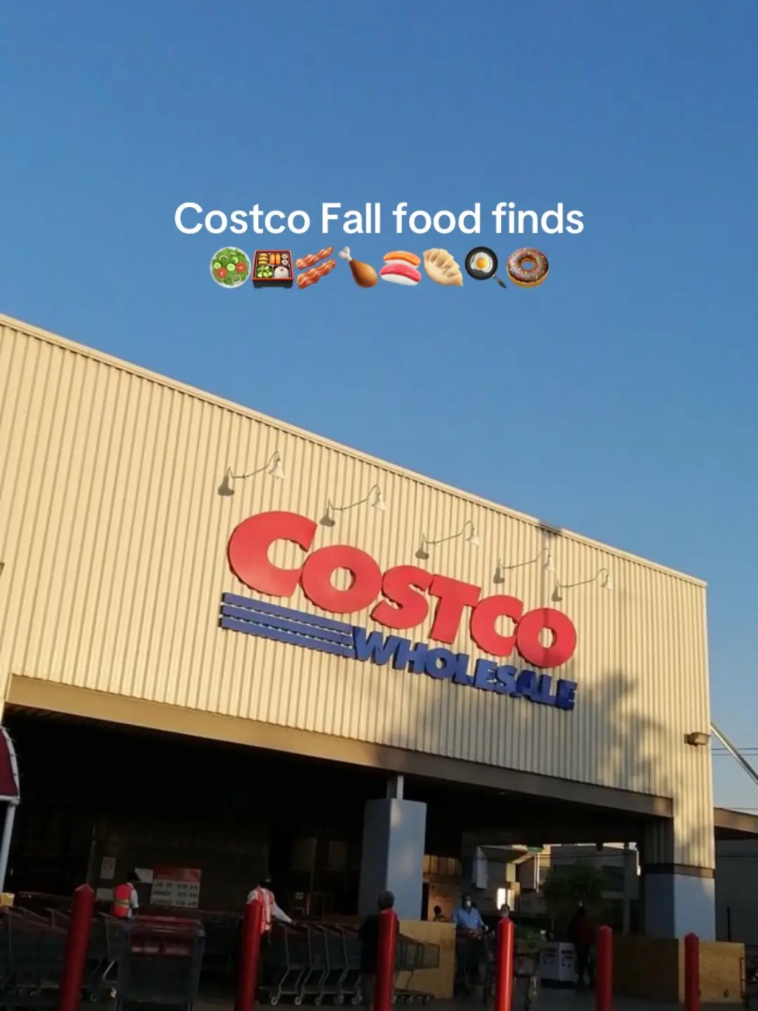 2025 new fall items at Costco!! #autumnaesthetic #traderjoes #fallvibes #traderjoesmusthaves #falltreats