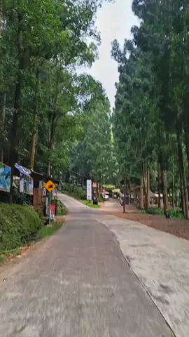 Jalur Dieng via Kembang langit-Gerlang, sebagian hampir selesai🤏#masukberandafyp #jalurdieng #gerlangbatang #kembanglangit #batang 