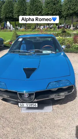 *ALFA Romeo #alfaromeof1 #oldtimer #luxurylife #luxurycars #carlover 