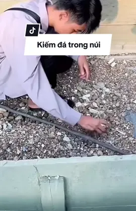 Thiên.đường đá quý#hongphuong93 #xuhuong2025 