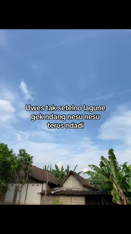 #4u #masukberanda #bahanswmu #xyzbca #fypシ゚viral 