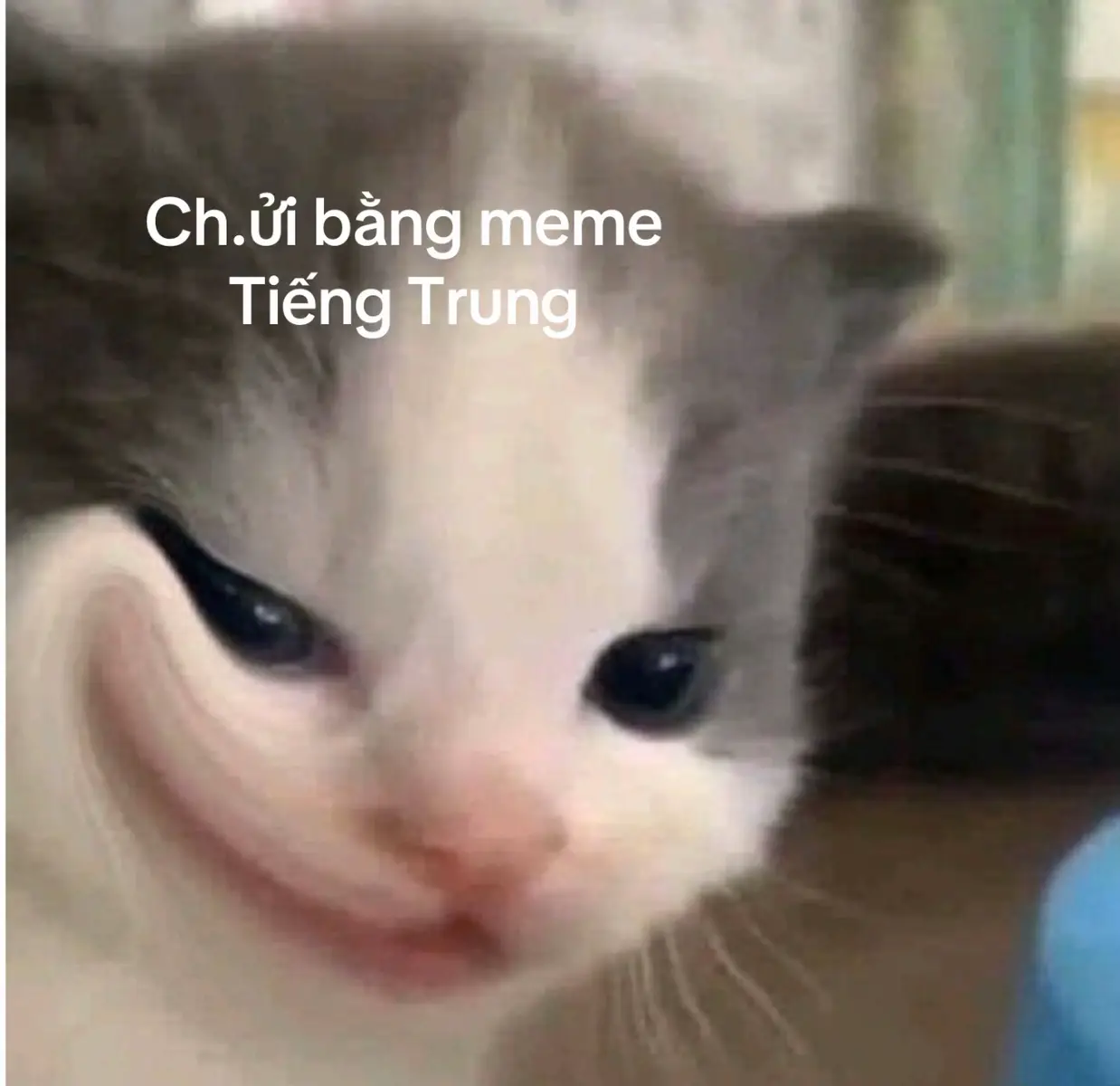 chửi xong ăn 👊🏻 #tiengtrung #viral #meme #hsk 