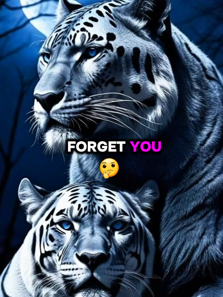 #motivational #inspirationalquote #motivation #motivationalvideos #quotemotivation 