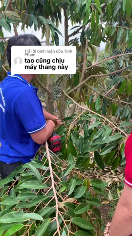 Trả lời @Tinh Pham #sâurieng 