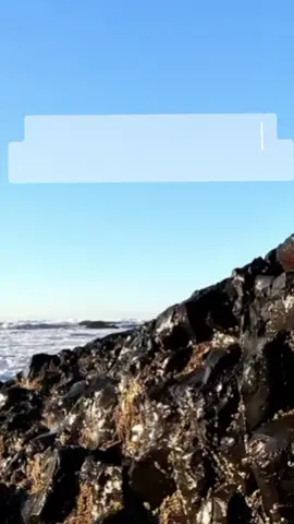 أَسْتَغْفِرُ‌ اللّٰه‌  سُبْحَانَ اللّٰه‌‎  الْحَمْدُ‌ لِلّٰه‌  لَاْ ‌إِلٰهَ ‌إِلَّاْ‌ اللّٰه‌  اللّٰهُ‌ ‌أَكْبَر #foryou #viralditiktok #fyp #yourpage 
