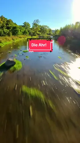 Was. Für. Ein. Tag. 🚀 Erst geht direkt der Pieper kaputt, und zum krönenden Abschluss ramme ich die Drohne volle Kanne in einen Baum 🌳😂 Ergebnis: 15 Minuten Suchaktion nach Drohne + Akku. Aber hey – genau solche Momente machen den Tag unvergesslich! 🔥🛸 #fpv #dronefail #fpvdrone #epicfail #dronelife