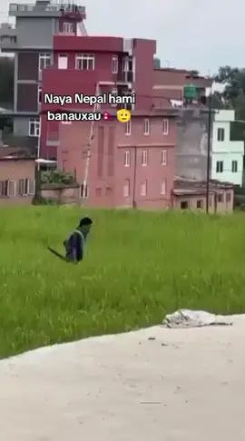 Naya Nepal hami banauxu Repost hanam twh #blowthisup #goviral #