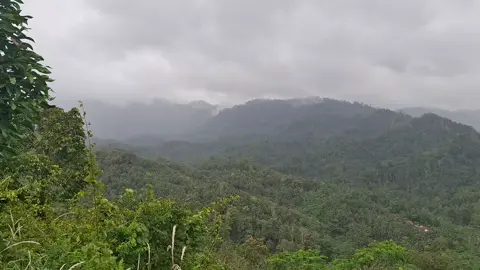 📍Bukit Panenjoan Desa Kersaratu Kecamatan Sidamulih Kabupaten Pangandaran  #lagusunda #panenjoan #pegunungan #kabut 