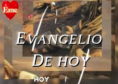 Evangelio de hoy Martes 9 de septiembre 20225 Jesús tomó a 12 para que sean sus Discípulos #LIVEIncentiveProgram #LIVEwithlowfollowers #PaidPartnership 