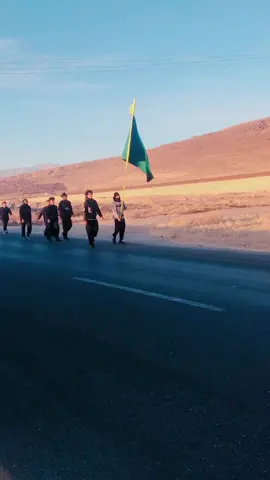 مشايه الامام الرضا ع قافله عبدالله الرضيع ع  #سيدفاقدالموسوي #خيام #علي #ليلو #حب 
