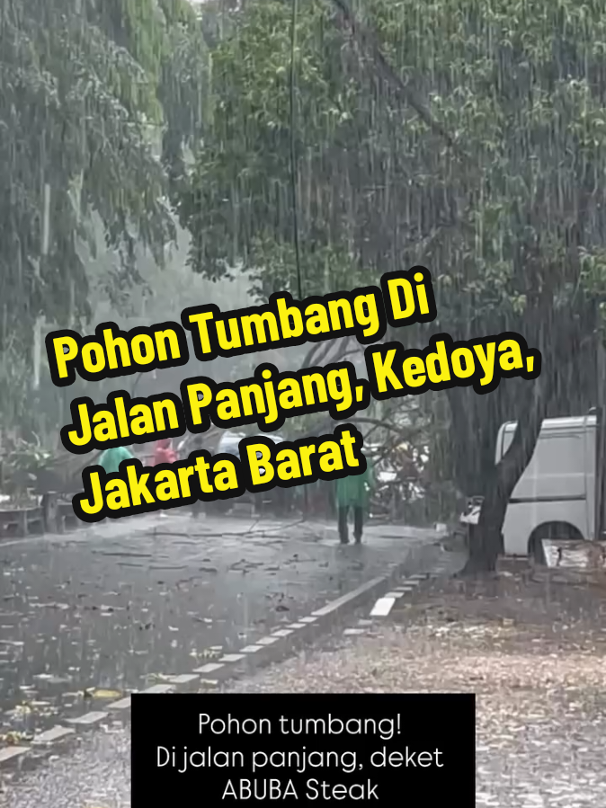 Selasa siang, 9 September 2025, dilaporkan terjadi pohon tumbang akibat hujan angin di dekat ABUBA Steak, Jalan Panjang, Kedoya, Jakarta Barat. Mohon berhati-hati. #kedoya #jakartabarat  ----- Ikuti akun kami untuk update informasi terkini Jakarta dan sekitarnya ----- 📹 : ig via bacenk_