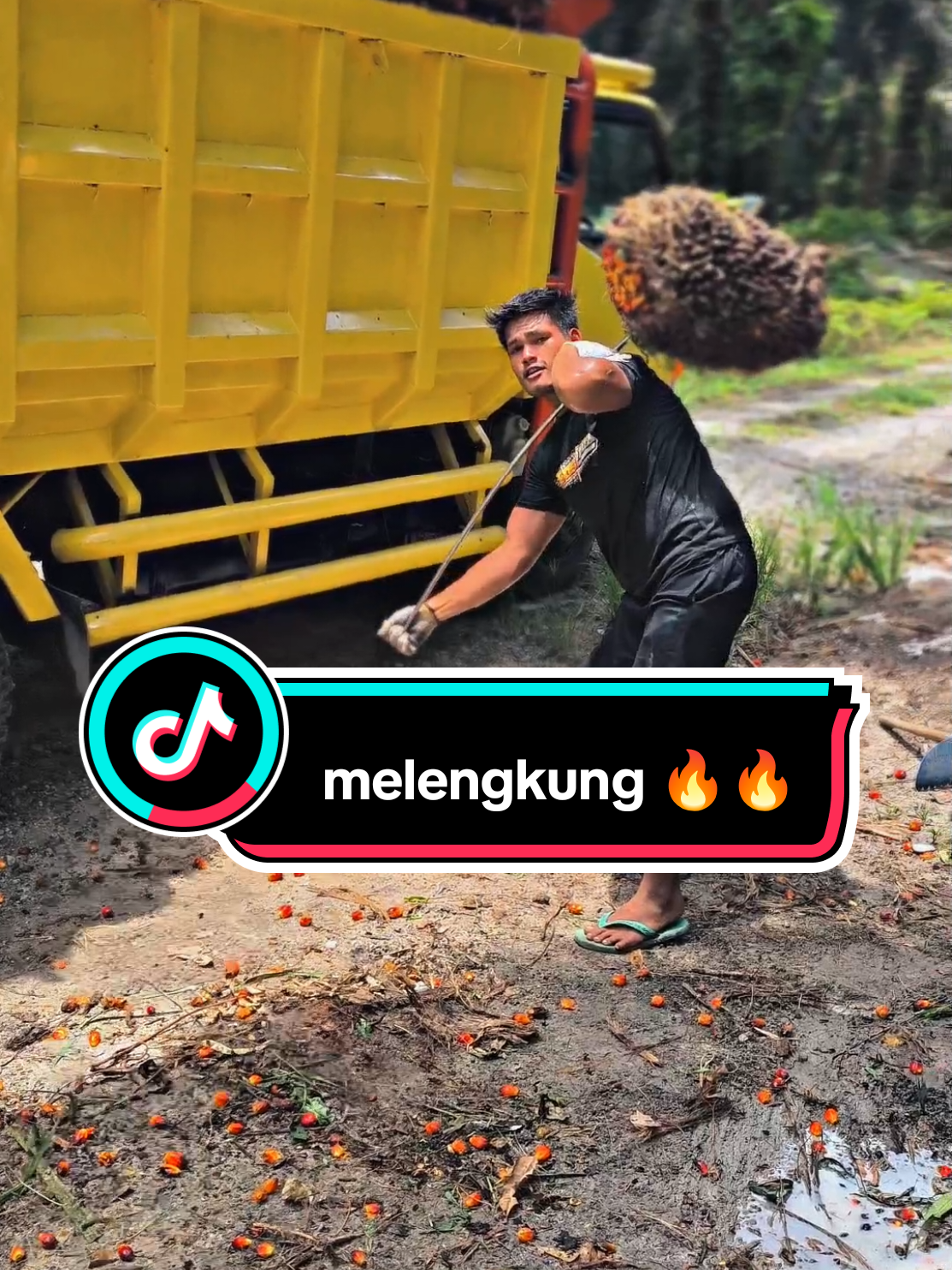 sensasi muat + straik babon.  tojok kuat, dan lentur💪🔥🔥🔥 #firaltiktok🔥🔥🔥✌️  #fyppppppppppppppppppppppp  #kulisawit  #trend 