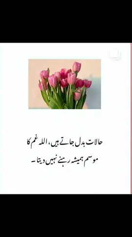 #subhanallah❤️  beshak beshak❤️