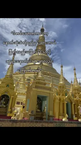 တကယ်ပါ#fypシ゚ 