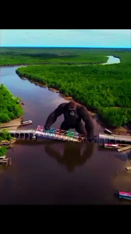 #pulaumeranti #selatpanjang pada akhir nya ketua juga memperbaiki jembatan .