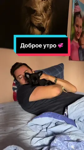 Доброе утро ☀️ 